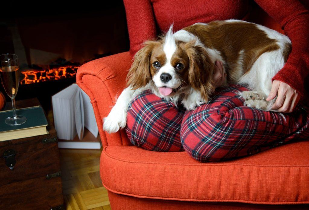 Lady relaxing with her dog (Cavalier King Charles spaniel) by the fireplace