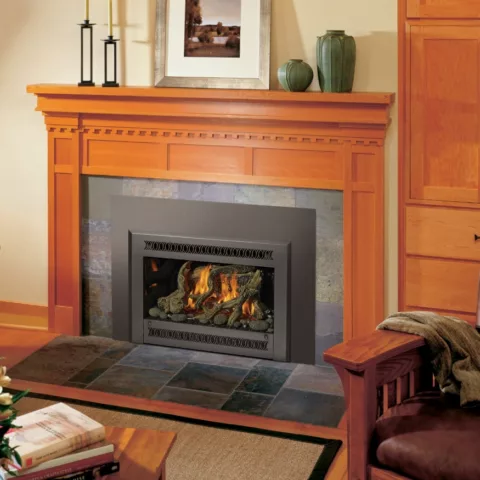 32 DVS Deluxe Fireplace Insert.