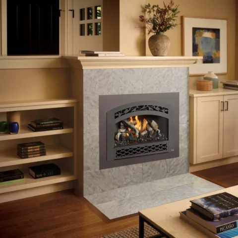 32 DVS Deluxe Fireplace Insert.