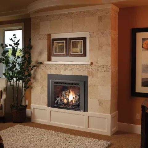 616 Deluxe Gas Fireplace.