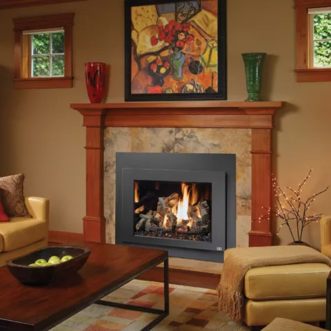 616 Deluxe Gas Fireplace.