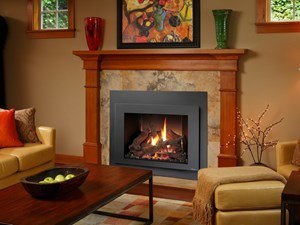 FPX 616 GSR2 Gas Fireplace Insert