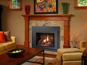 FPX 616 GSR2 Gas Fireplace Insert