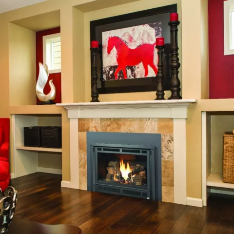 Radiant Plus Gas Fireplace Insert.