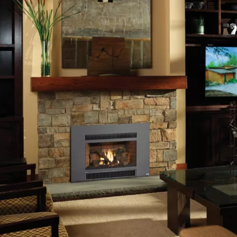 Radiant Plus Gas Fireplace Insert.