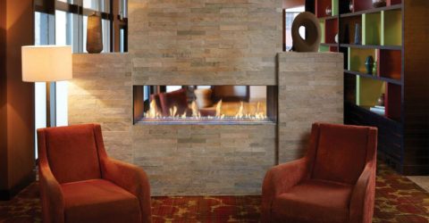 Davinci Fireplace Insert