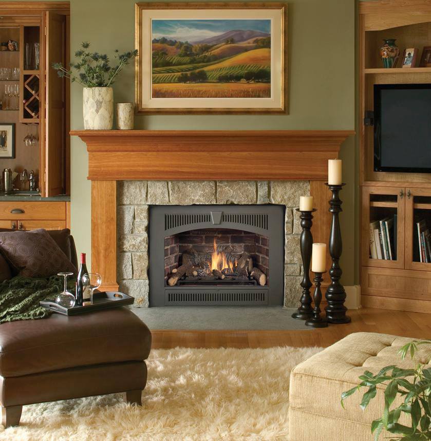 Gas Fireplace Insert