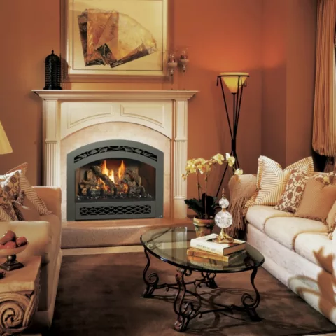 564 High Output Deluxe Fireplace.
