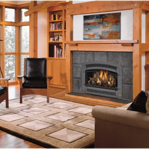 564 High Output Deluxe Fireplace.