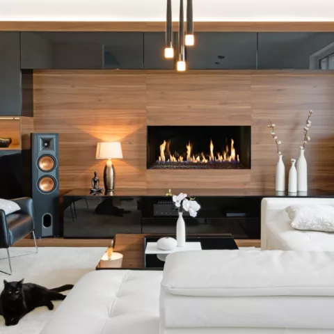 DaVinci Single-Sided Linear Gas Fireplace, 48 by 20 inches.