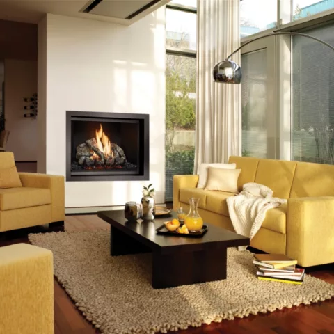 864 TV 40K Clean Face Deluxe Fireplace with Trim Kit, Black Painted fireback, and Birch log set.