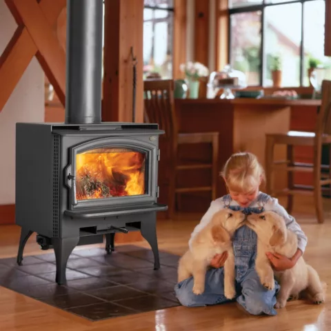 Answer NexGen-Fyre Wood Stove.