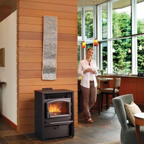 Lopi AGP Pellet Stove.