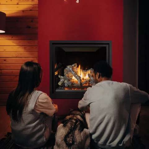 People and Dog sitting in front of ProBuilder 36 Clean Face Deluxe Fireplace with the Black Glass Fireback and Birch Log Set.