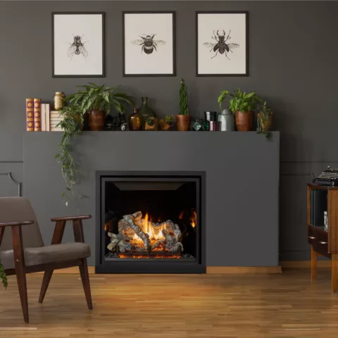 ProBuilder 36 Clean Face Deluxe Fireplace with the Black Glass fireback, and Birch log set.