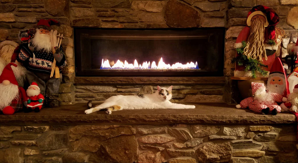 cat lounges in front of well decorated fireplace mantel