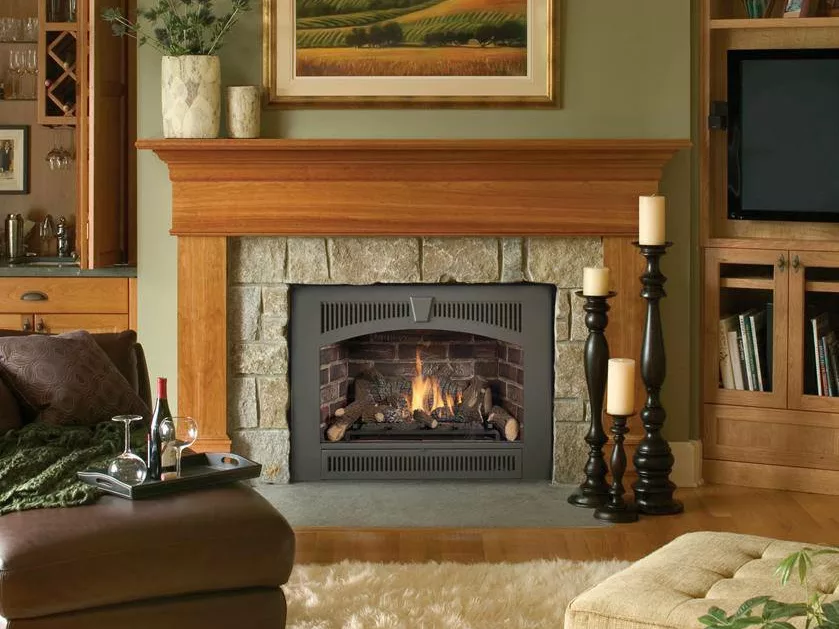 Gas Fireplace Insert