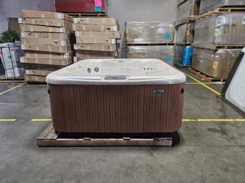  2010 Hotspring Highlife Prodigy® H