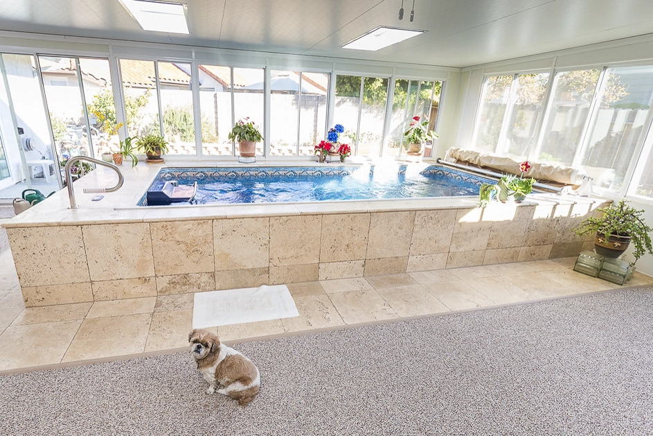An indoor Endless Pools modular pool with stone siding, in a bright room with large windows and a dog